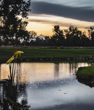 Glow-Golf-2025-127