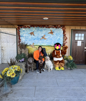 Claires-Kennels-2024
