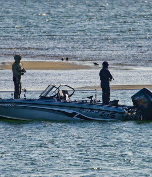 Fishing