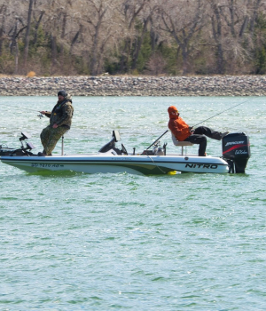 Relaxed-Fishing